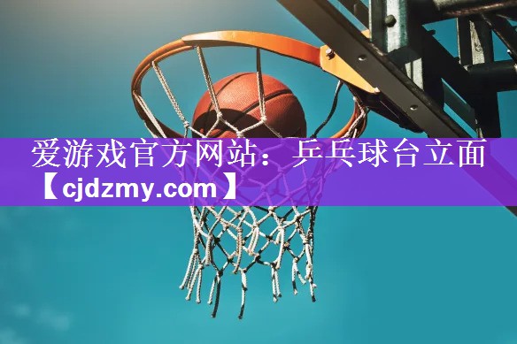 <strong>爱游戏官方网站：乒乓球台立面</strong>