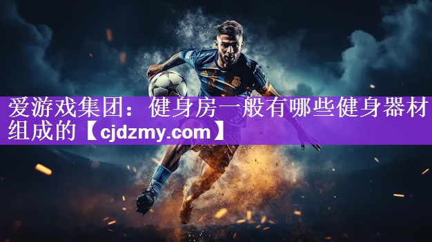 爱游戏集团：健身房一般有哪些健身器材组成的