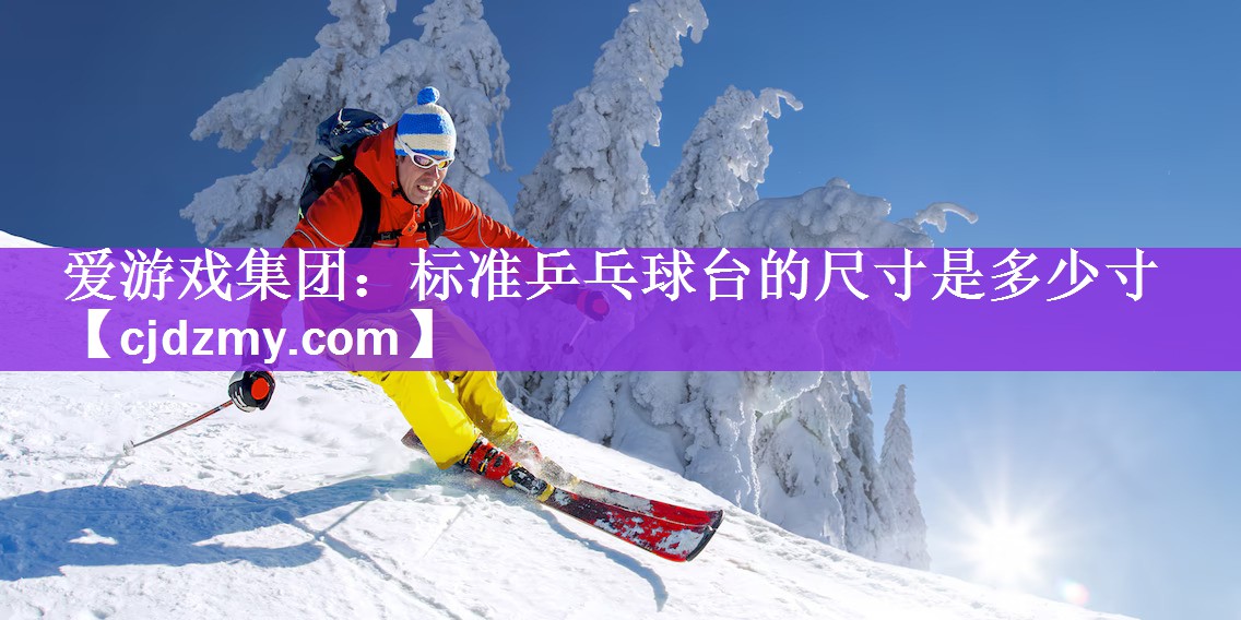 爱游戏集团：标准乒乓球台的尺寸是多少寸