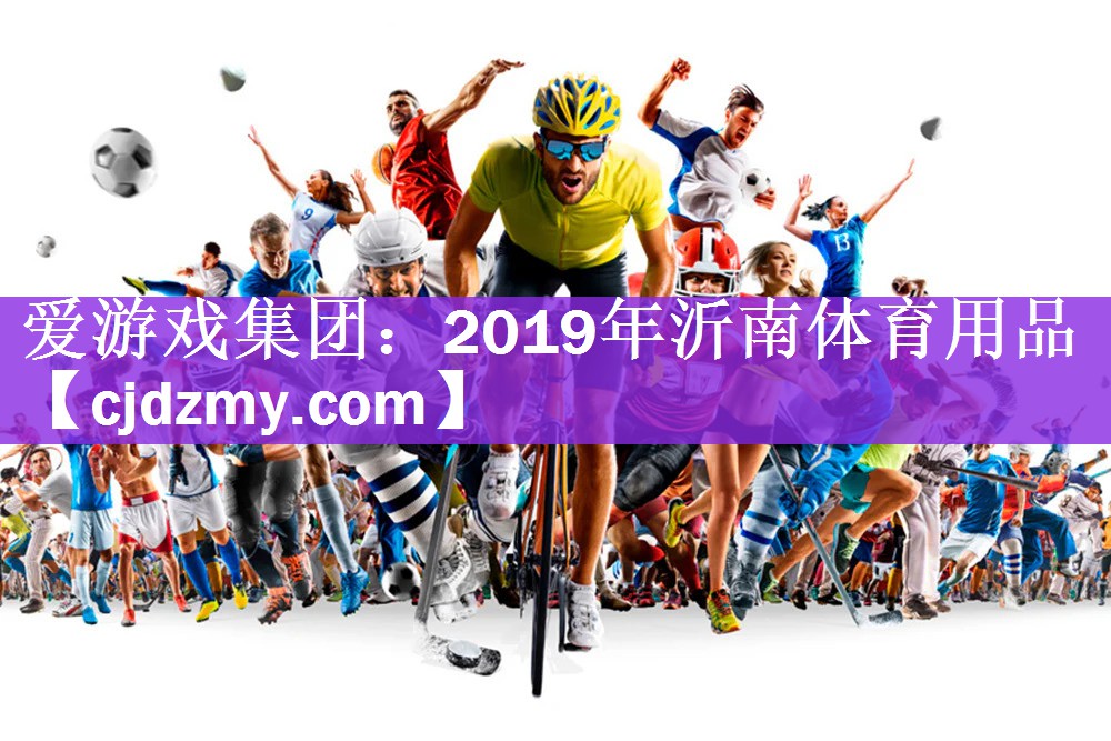 爱游戏集团：2019年沂南体育用品