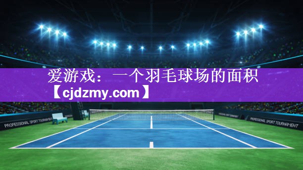 爱游戏：一个羽毛球场的面积